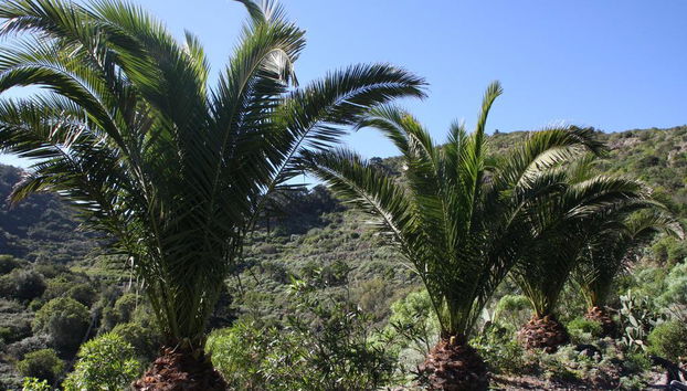 Las Casas Del Chorro - Foto 2