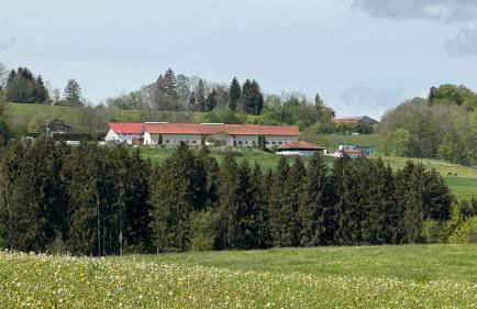 Gut Buchenhof - Photo 18