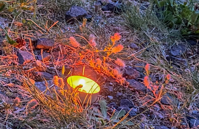 2 bedroom House in Lwówek Śląski with garden and terrace - Photo 5