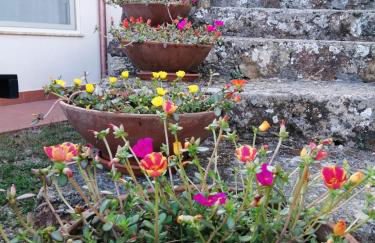 Villa Podere I Cavalieri - Foto 35