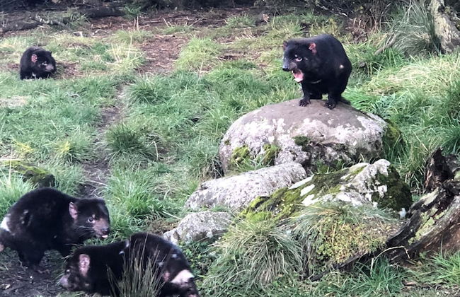 Signature on Gunn - Foto 17