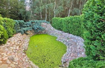 Dom letniskowy przy lesie nad jeziorem - Foto 15