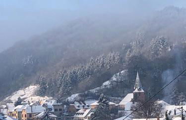 Le Kesbel entre Strasbourg et Colmar en centre Alsace - Foto 24