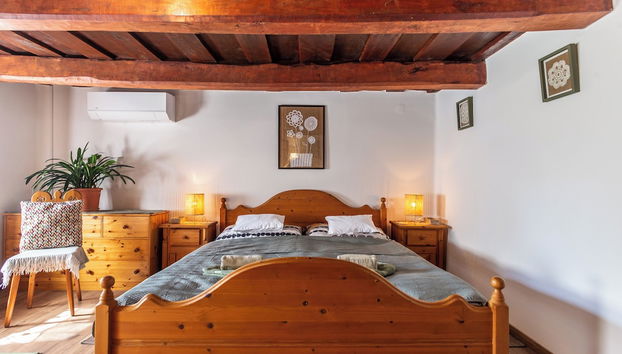 The Bird of Happiness-heaven for Dogs - Foto 3, Zimmer