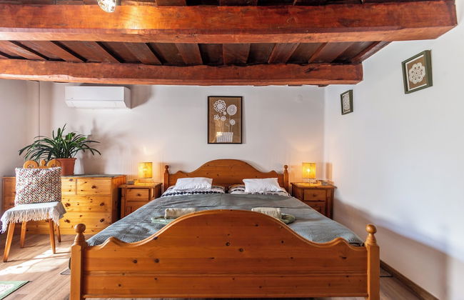 The Bird of Happiness-heaven for Dogs - Foto 9