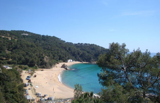 107527 - House in Cala Canyelles - Foto 18