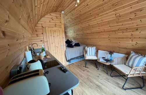 The Pod Patch - Trelerney Pod - Foto 22