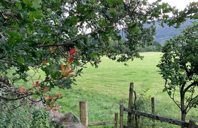 a Fairytale Thatched Highland Cottage - Foto 47