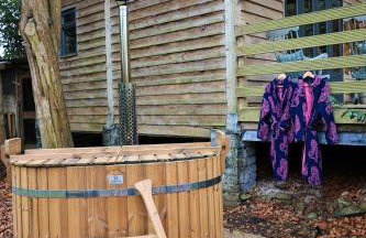 The Beech Hut, Wood Fired Hot Tub, St Kew Escapes - Foto 29