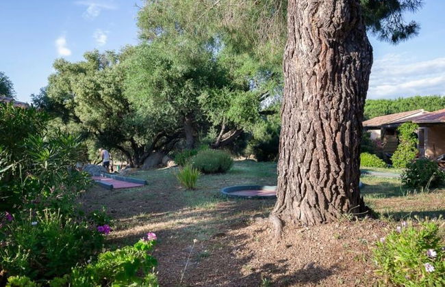 Apartment in Serra-di-ferro Near Cupabia Beach - Photo 15