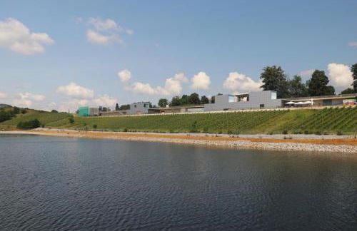 Ferienhaus SeenSuchtLausitz - Photo 44