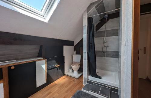 Grande maison proche des Vosges, idéale cyclisme et randonnée, animaux admis, vélos à dispo - FR-1-583-298 - Foto 10