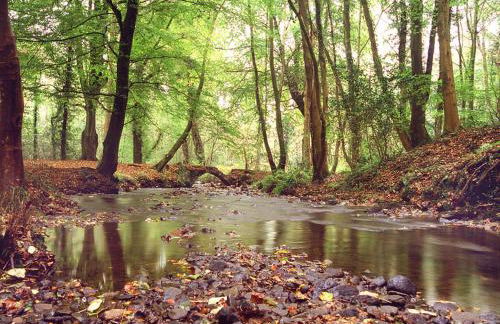 Penuwch Boathouse, Waterside Cottage with indoor Pool, Sauna & Parking - Photo 29