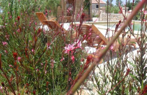 Masseria Sucéa - Foto 10