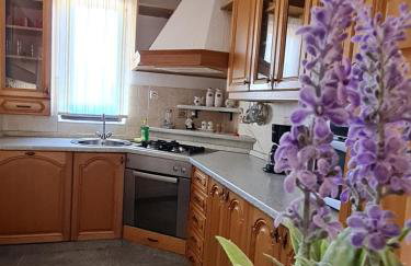 Kuća za odmor Hodak - Foto 9