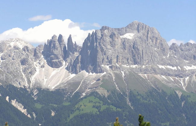 Lagrein in the Prantenbergergut - Foto 13