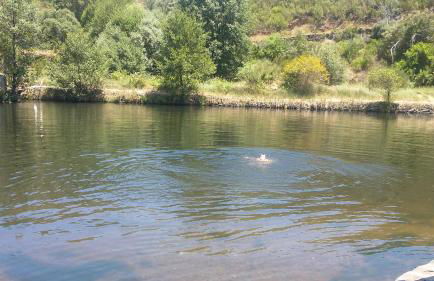 Casas dos Carregais - Foto 12