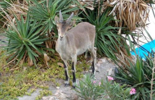 El Espejo del Mar - Foto 23