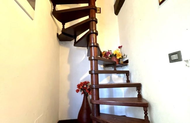 IL PIANETTO - Foto 15