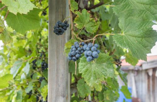 Haus Rosi und Werner - Foto 12