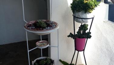 Vivenda Areias - Photo 5