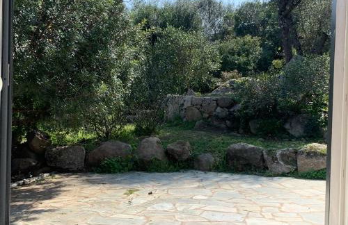 La campagne au bord de la mer - Foto 8