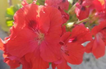 La grecità e il mare - Foto 72