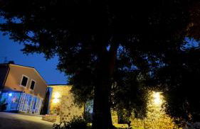 La Bottega di Torreluca - Foto 12