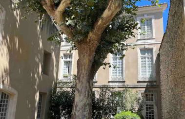 Superbe appartement rénové et cosy à 10mn de Saint-Rémy de Provence - Foto 5