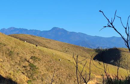 Hotel Fazenda Villa-Forte - Photo 56