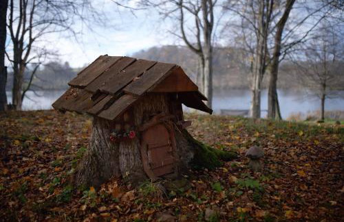 Park Wilkasy - Foto 65