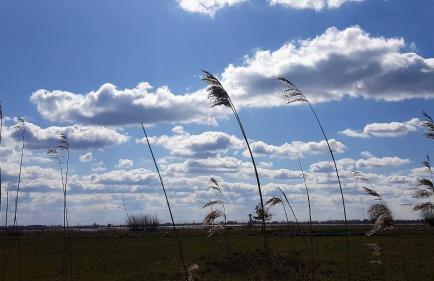 Fewo Storchennest - Foto 20