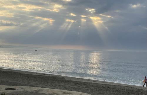 El Lobo de Mar Estepona - Photo 12