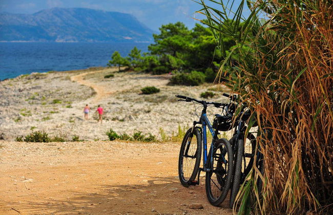 Excursion à Lumbarda à vélo + Dégustation de vins - Photo 8