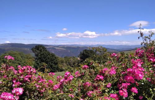 La Posada de Oscos - Foto 41