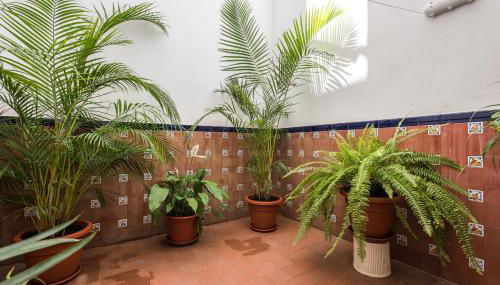 Sevilla Sun - Foto 5