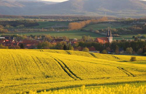 Ferienwohnung Osterwieck Mittelstraße 4 - Foto 24