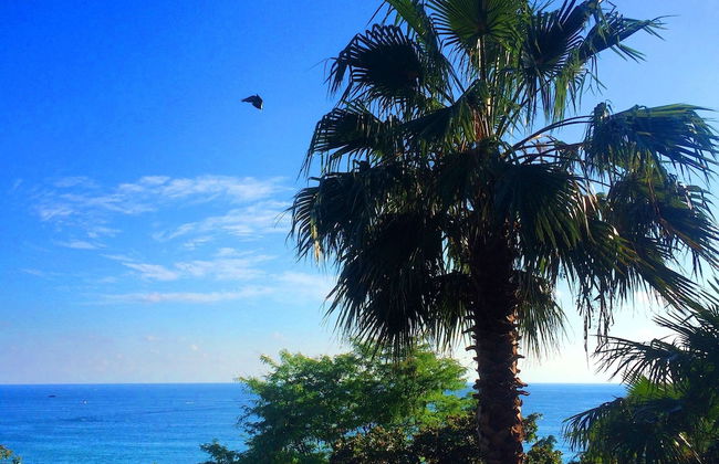 Apartment on Tsvetnoy Bulvar 44 Green Area 8 - Photo 10