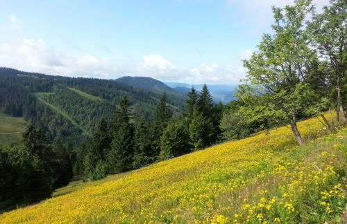 Appartement Rehblick - Foto 58