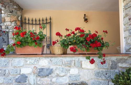 Apartment Casa Rita AP- 1 - Gardasee - by Interhome - Photo 34