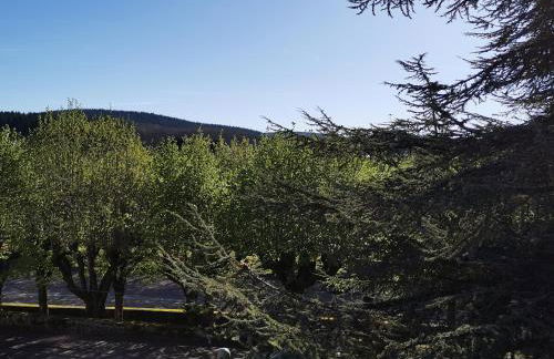 Gîte La Bancale - Foto 16