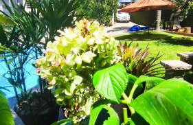 Casaloft994 - Foto 9