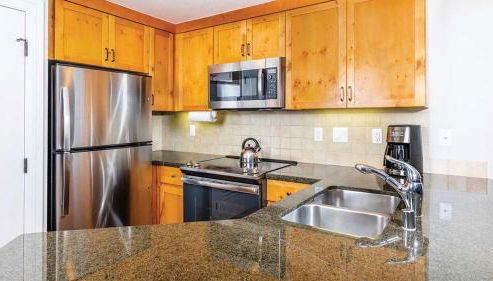 Marriott Timber Lodge 1BR Apartment with Resort Access - Foto 3