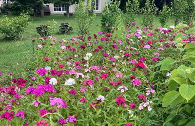 Stasiówka Gospodarstwo Agroturystyczne - Foto 15