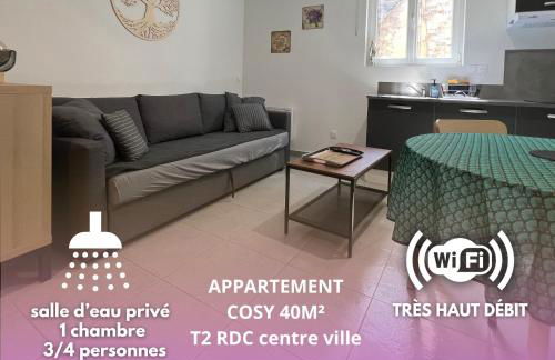 Appartement T2 40 M2 cosy RDC plein centre ville - Foto 1
