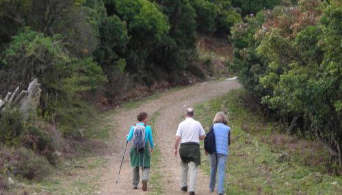 Ikarian Centre - Accommodation & mountain hiking - Foto 5