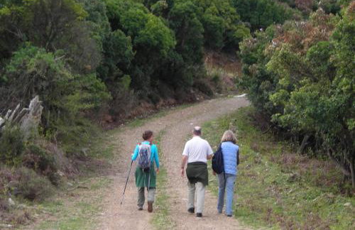 Ikarian Centre - Accommodation & mountain hiking - Photo 5