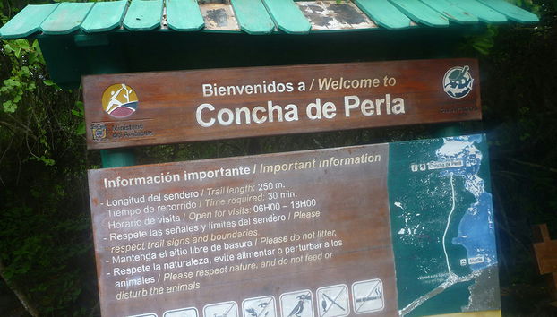 Concha Perla Tour - Foto 3
