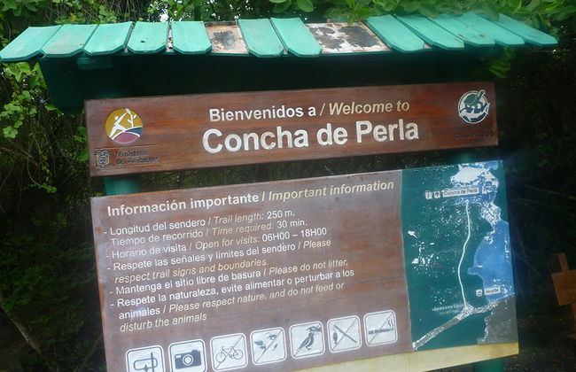 Concha Perla Tour - Foto 3