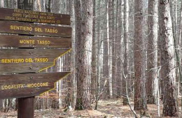 Chalet Lawà - Foto 29